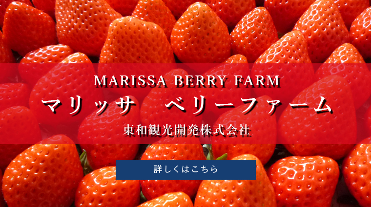 マリッサベリーファーム