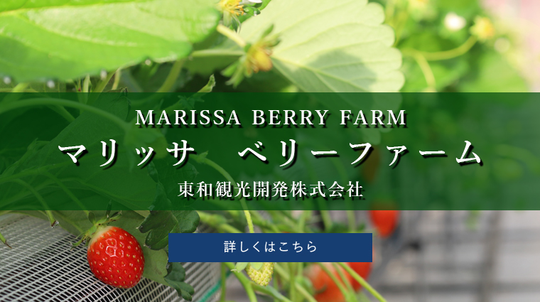 マリッサベリーファーム